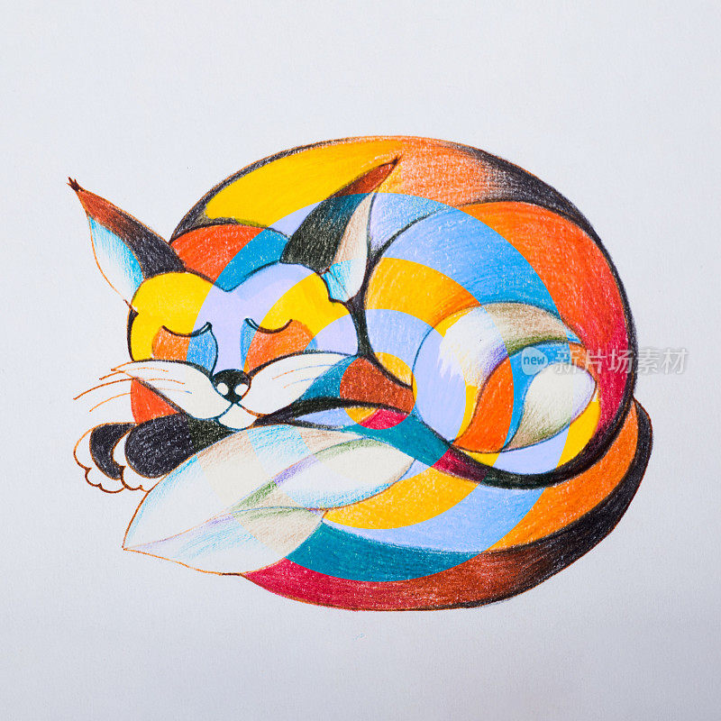 一只蜷缩着睡觉的狐狸的素描。