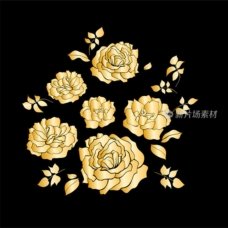 花卉设计，矢量插图集手绘。金色梯度花园玫瑰花和叶子，优雅的花束孤立在黑色的背景。