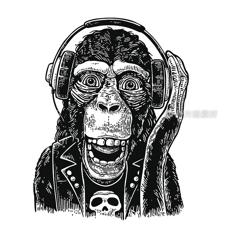 戴着耳机，穿着带头骨t恤的猴子摇滚歌手。的雕刻