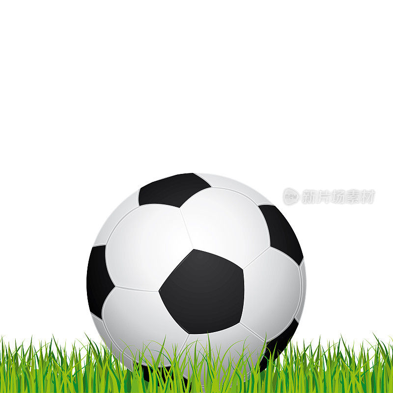 足球孤立。体育场的草地和蓝天为背景。矢量插图。