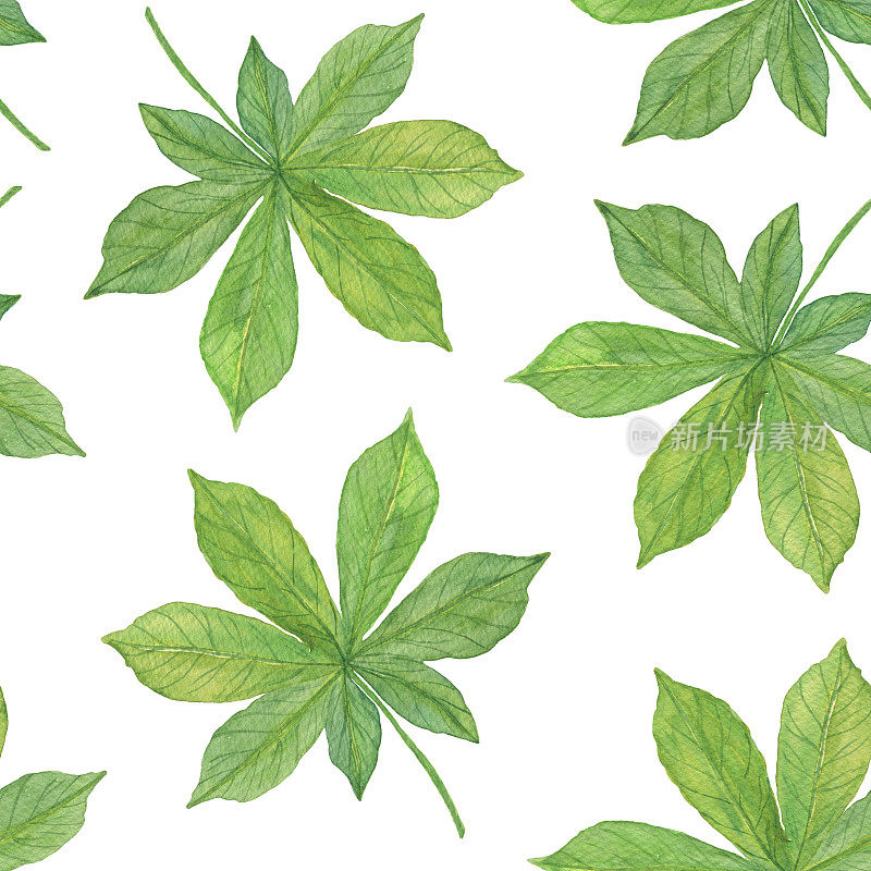 手绘水彩绿色秋天栗叶，无缝图案上的白色背景，季节性的水彩插图