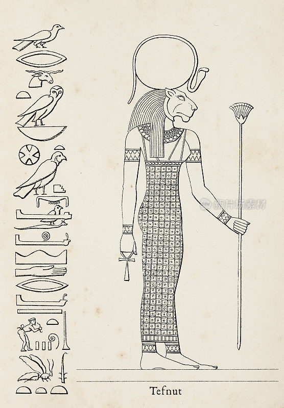 古埃及特夫纳特的一种象形文字，代表水分