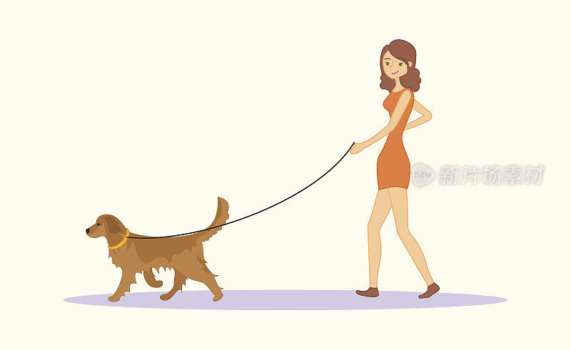 妇女或年轻女孩在休闲衣服遛狗金毛猎犬品种。矢量插图孤立在白色背景