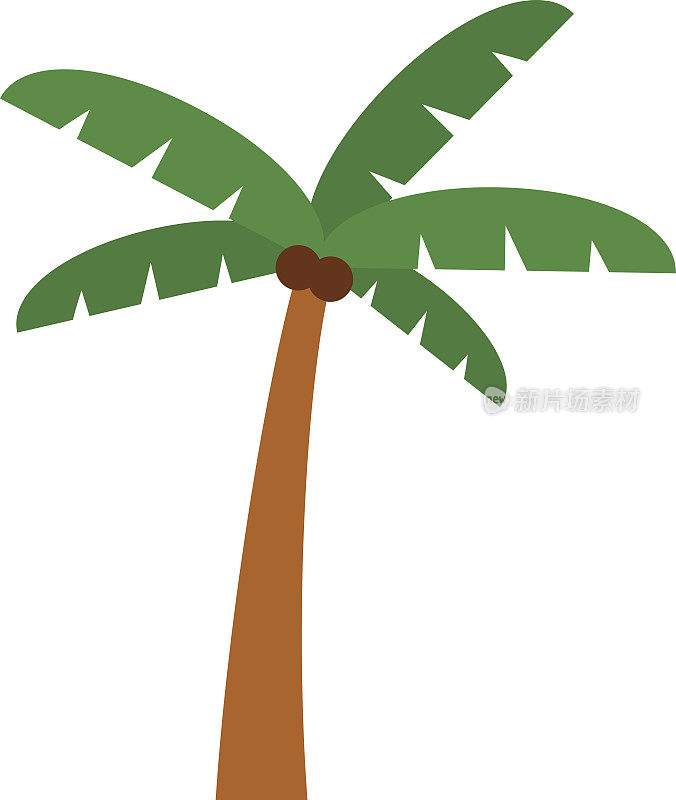 棕榈孤立的向量