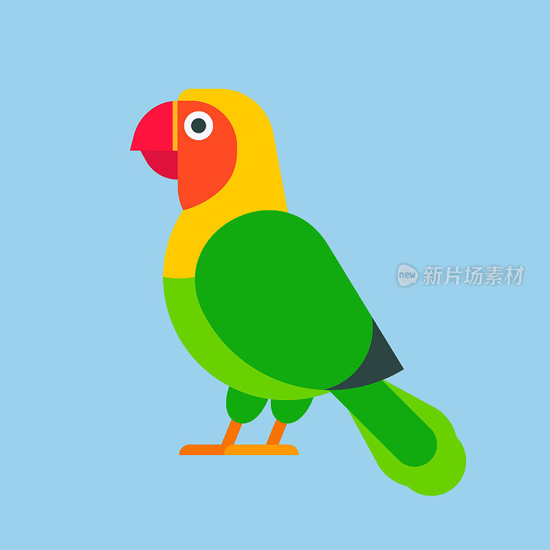 鹦鹉，绿色鸟类，品种，动物，自然，热带鹦鹉，教育，彩色宠物矢量插图