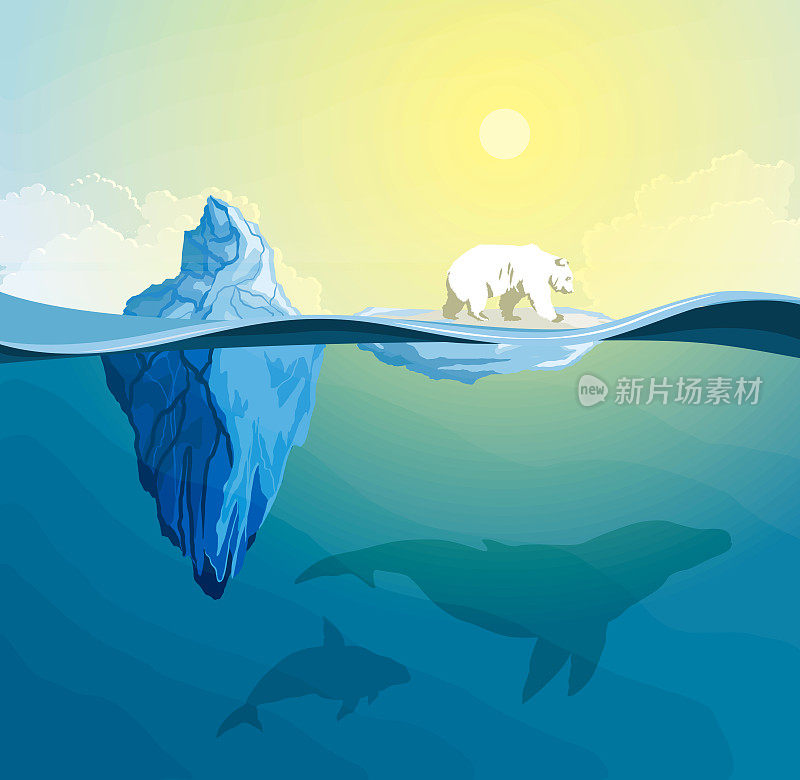 北极熊对极地，全球变暖的概念