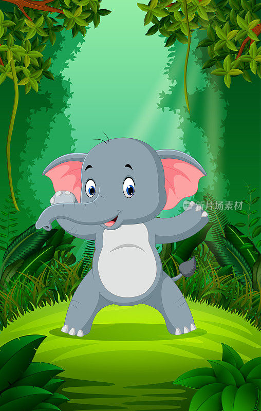 大象在清澈绿色的森林里