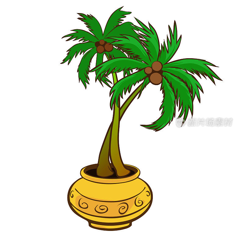 矢量插图的微型椰子树与水果在装饰花瓶