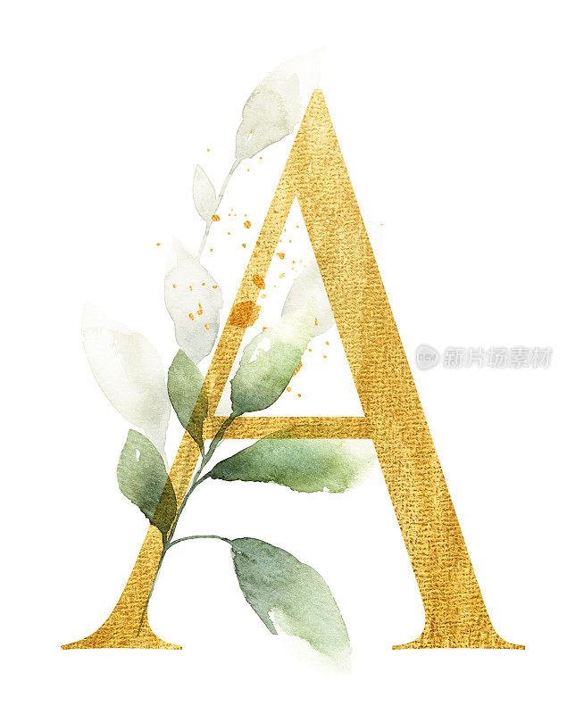 金字A用水彩树叶装饰