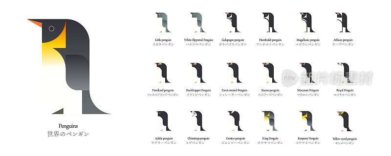 矢量插图图标企鹅类型的世界