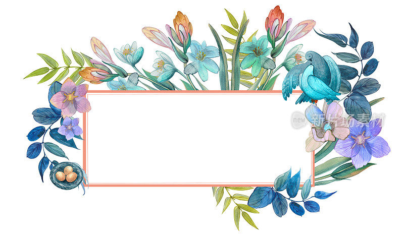 精致的蓝色水彩画框，粉红色的花朵、树枝、树叶、玉兰树枝，一对鸽子，一个鸟巢。婚礼背景，春花相框，贺卡，乔迁喜宴，复活节相框