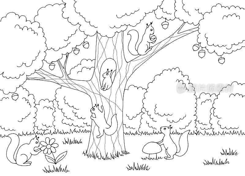 松鼠在橡树图形黑白素描景观插图矢量