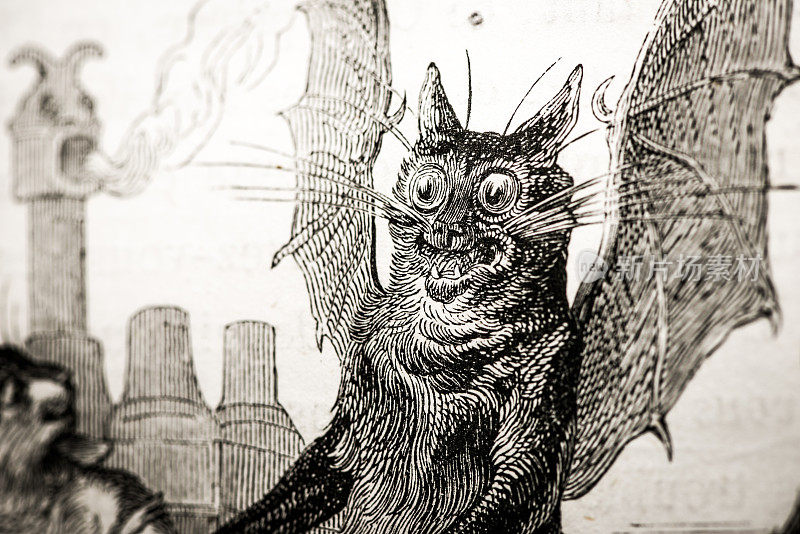人性化的动物插图:天使和魔鬼猫