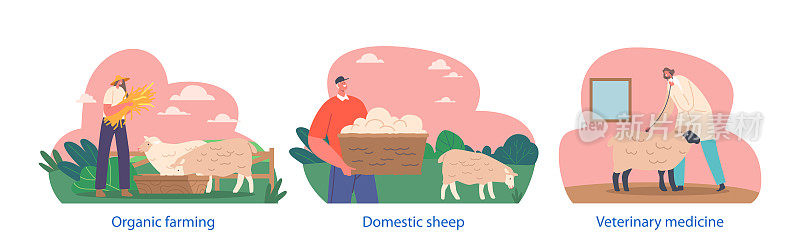 具有农民特征的孤立元素养殖家羊，提供照顾，喂养，兽医