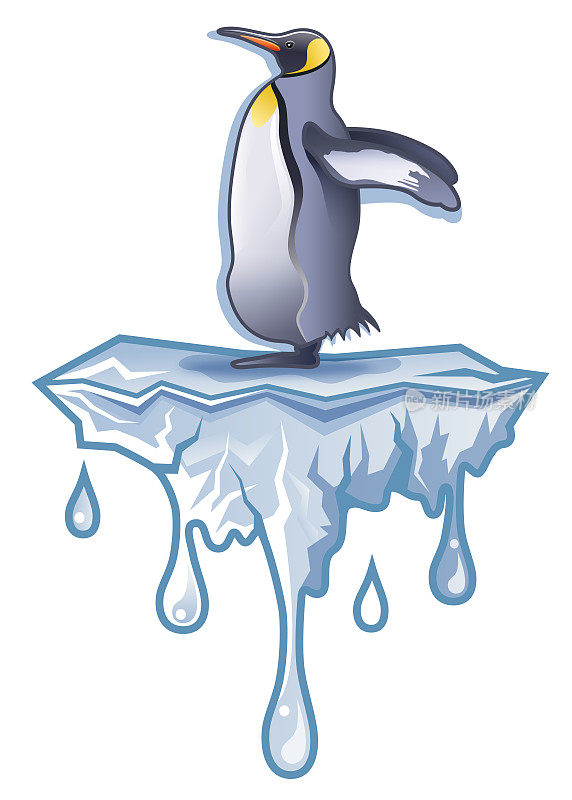 南极洲国王企鹅站在融化的冰山插图