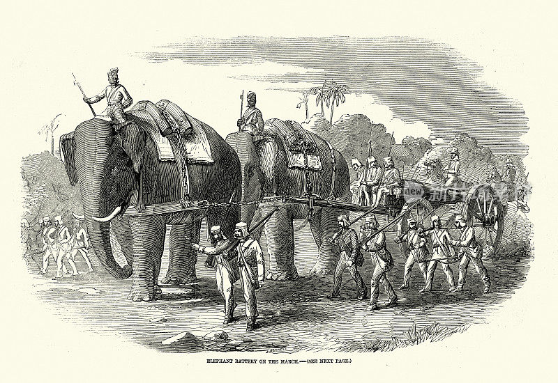 英属印度军队用大象拉着重炮行进，军事历史19世纪，19世纪50年代