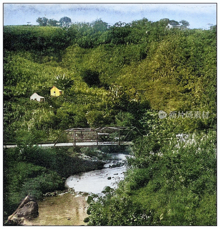 古董黑白照片:夏威夷北海岸