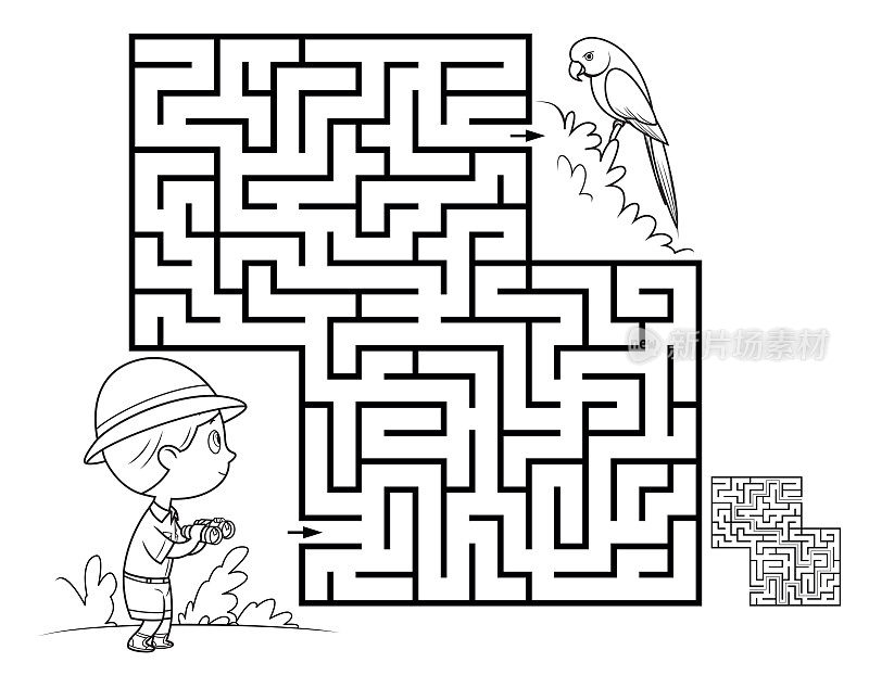 黑与白，儿童迷宫游戏。鹦鹉