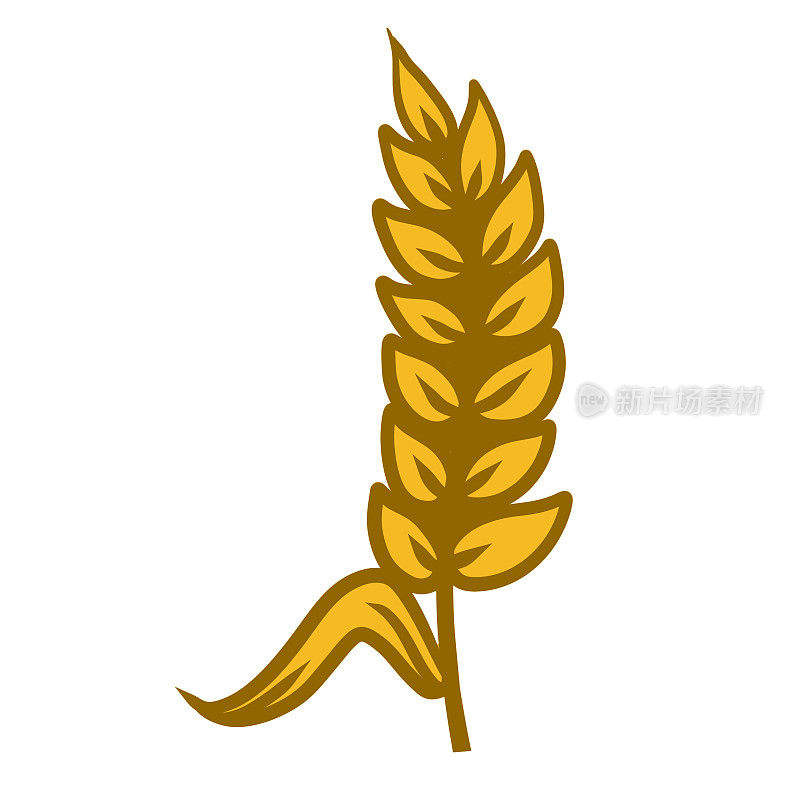 耳朵的小麦。植物的金色茎。谷物及农产品。收成。播种和产量。卡通插图