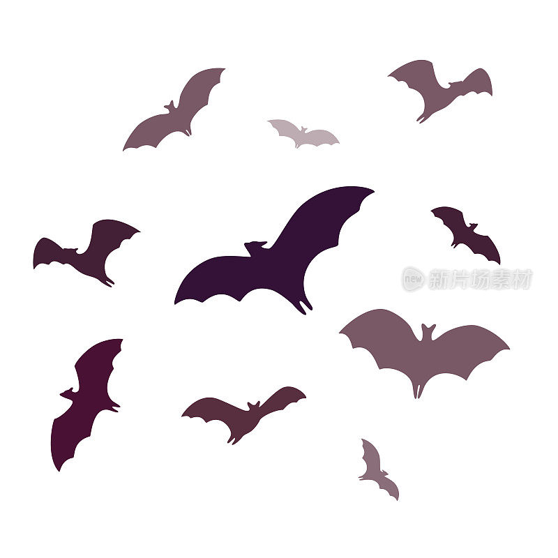 飞行蝙蝠，一组卡通洞穴蝙蝠孤立在白色的背景。矢量插图在平面卡通风格