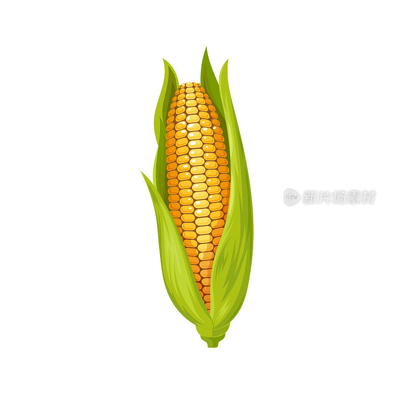 黄玉米与叶分离玉米芯玉米芯