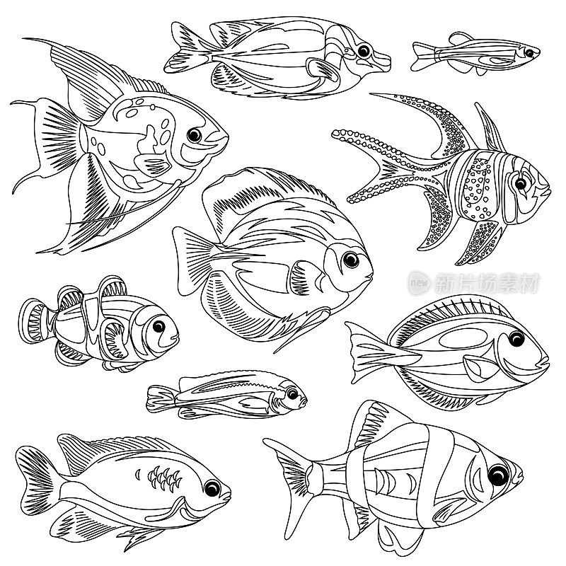 一群孤立在白色背景上的线形鱼。抗应力涂色书的水下生活插图。