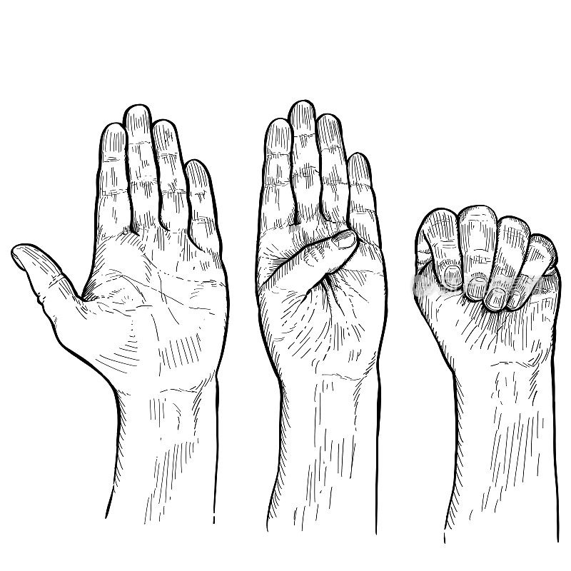 手语，国际语言的家暴。用手语言，非语言交流。黑白矢量插图在白色背景