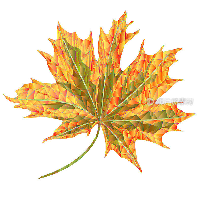 彩色秋叶枫叶多边形马赛克，万花筒，矢量插图可编辑手绘