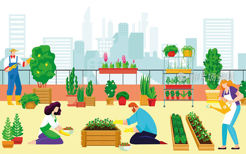 城市屋顶绿化厨房花园人们一起有机蔬菜，农民性格种植植物城市空间平面矢量插画。