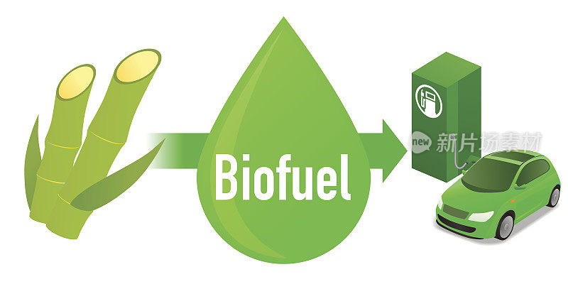 生物燃料:用甘蔗制成的生物燃料乙醇，图示