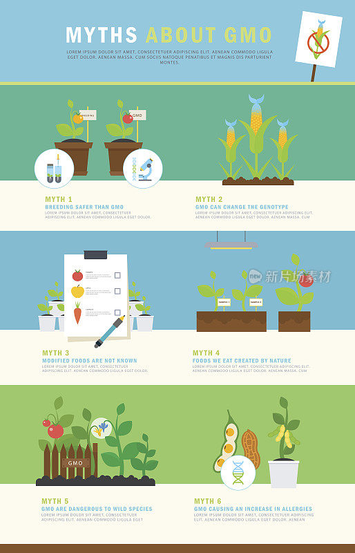 信息图表:关于转基因的神话。彩色矢量概念与插图和