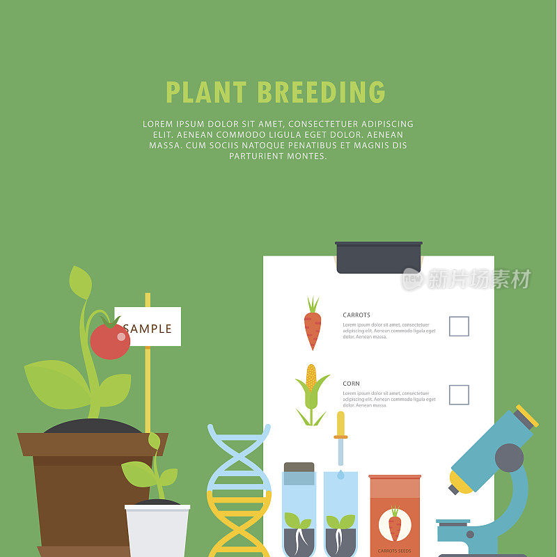 植物育种。植物学概念有小瓶、幼苗、植物、显微镜