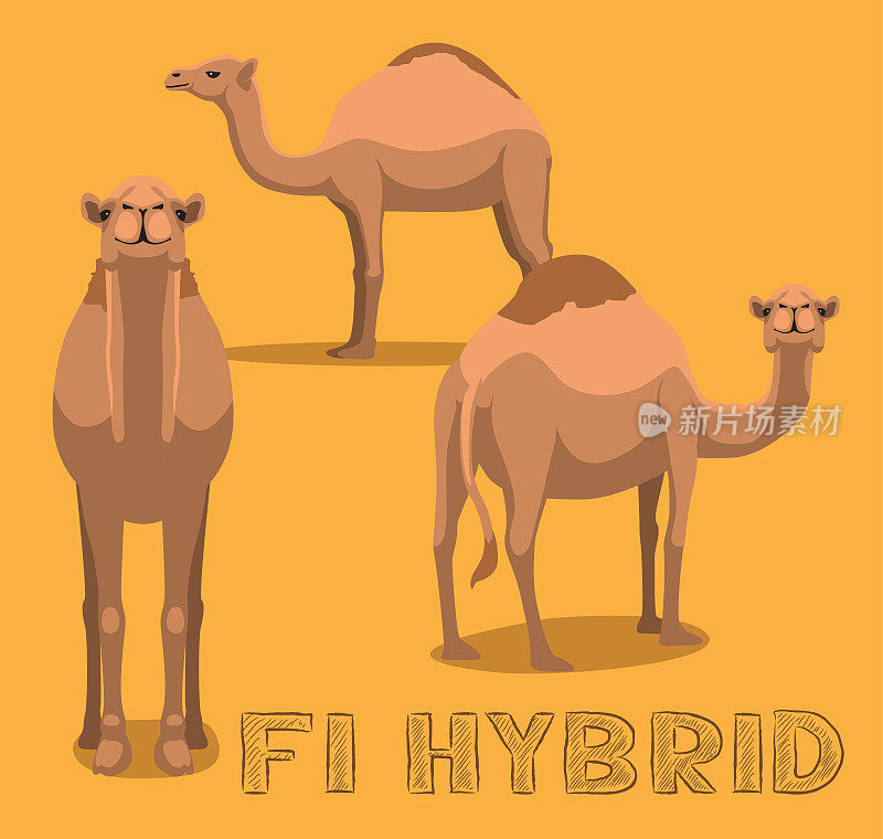 骆驼F1混合卡通背景无缝墙纸