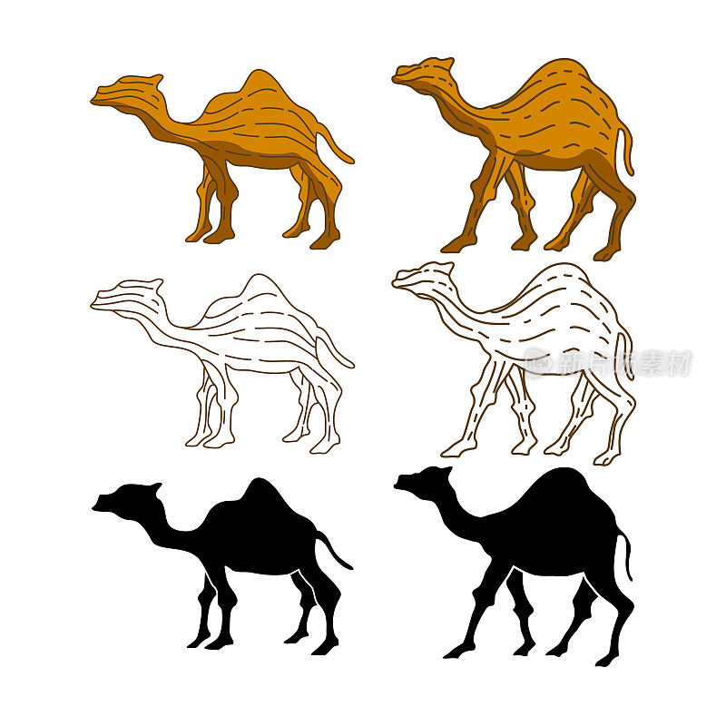 骆驼插图动物矢量设计