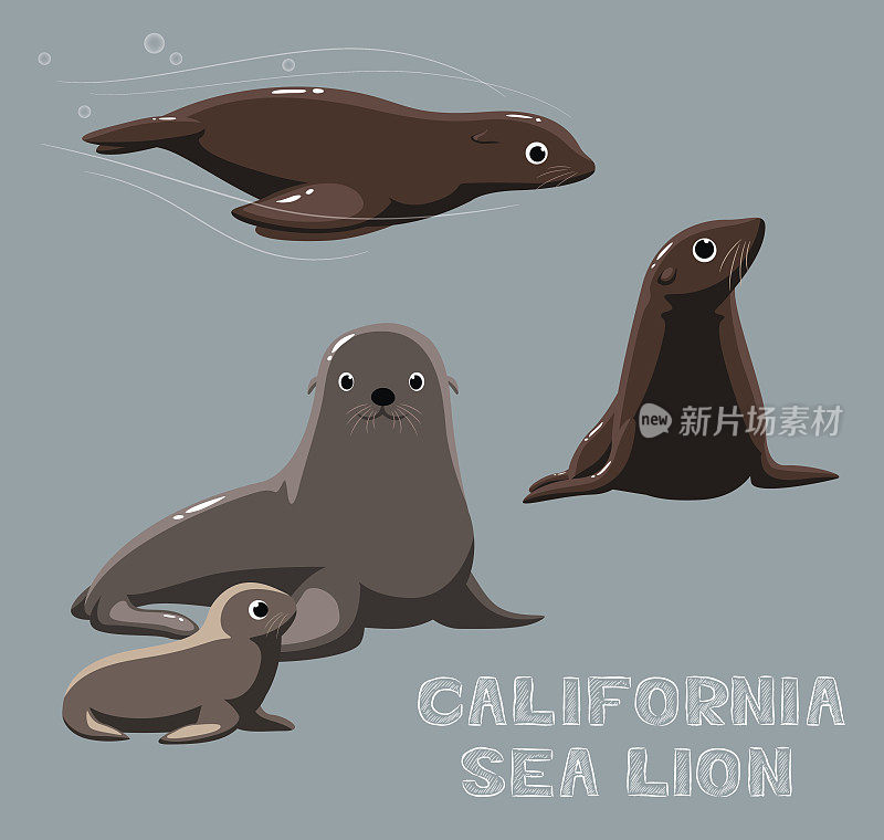 加州海狮卡通矢量插图
