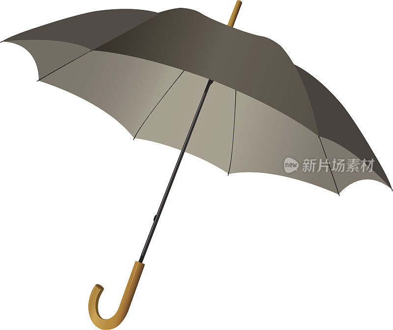 雨的伞