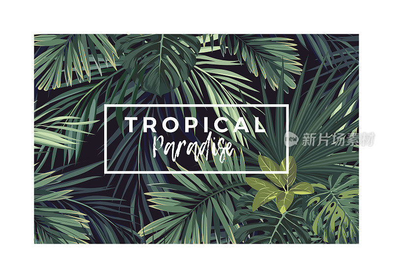 深色矢量热带字体设计与绿色丛林棕榈叶