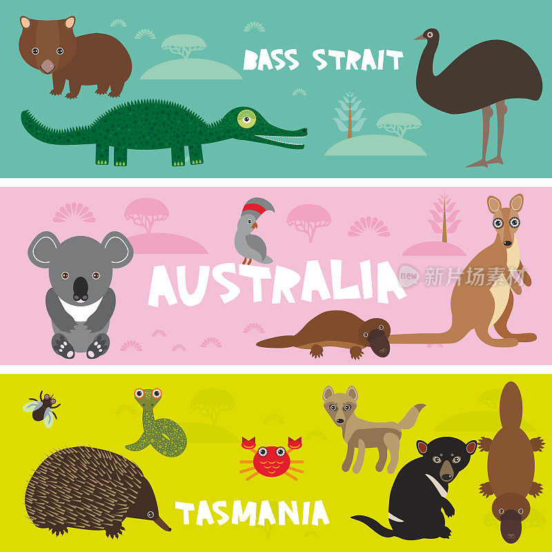 可爱的动物设置，针鼹考拉鸭嘴兽鸵鸟鸸鹋塔斯马尼亚魔鬼鹦鹉袋熊蛇乌龟鳄鱼袋鼠野狗孩子背景澳大利亚，塔斯马尼亚巴斯海峡鲜艳多彩的旗帜。向量