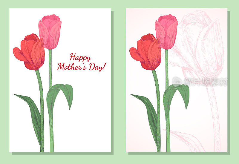 一套垂直模板卡设计与郁金香:红色，粉红色的花，绿色的叶子，茎，白色的背景与轮廓郁金香。手绘植物素描插图，复古，矢量，复制空间