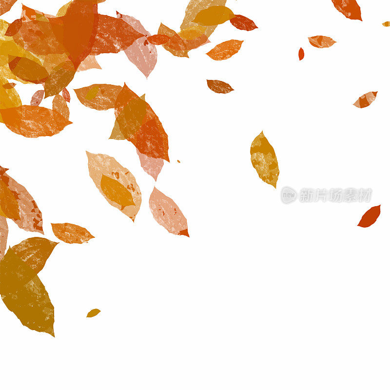 手绘秋叶背景。花框架孤立的背景。几何框架邀请卡片模板与秋天的叶子。矢量花边界设计元素的生日，感恩节卡片，婚礼邀请。