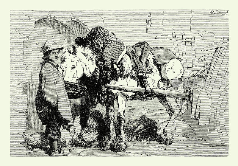 一个小男孩在农场里喂拉着车的马，英国维多利亚时代的版画，1875年