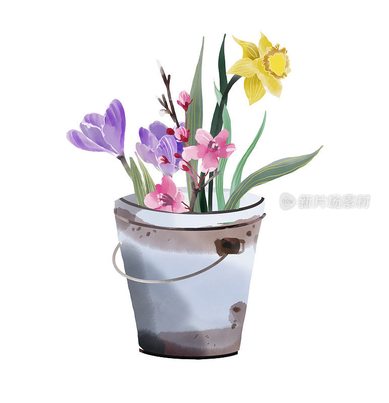 春天的花朵在一个桶园插图元素设置快乐的春天
