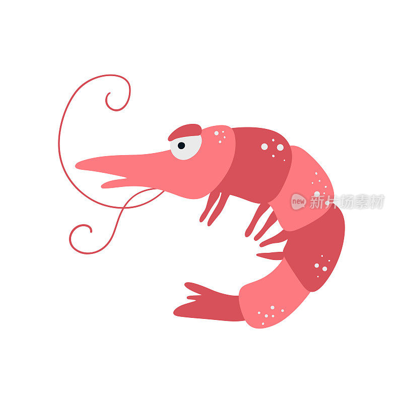 海虾的插图在白色背景矢量插图卡通平面风格