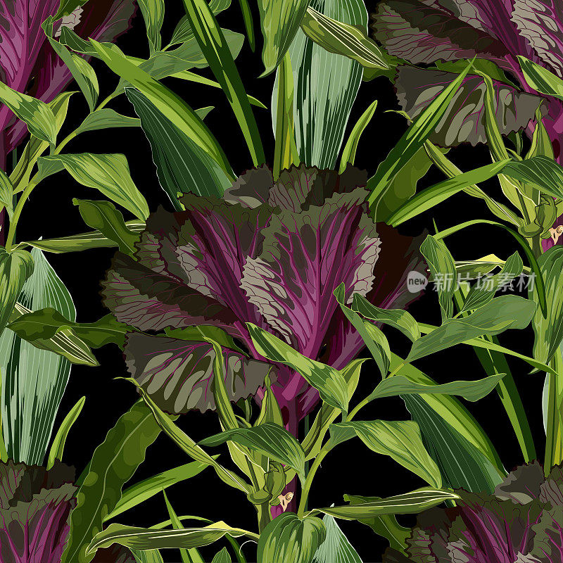 无缝图案与手绘彩色装饰卷心菜和热带树叶。日本新年花。新鲜紫甘蓝，花椰菜，大白菜。