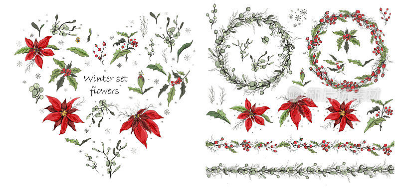 一套冬花、枝叶。写实风格的手绘植物涂鸦。你的创意，纸质贺卡，海报，广告。