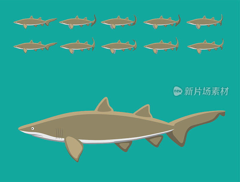 动物动画序列沙虎鲨鱼卡通矢量