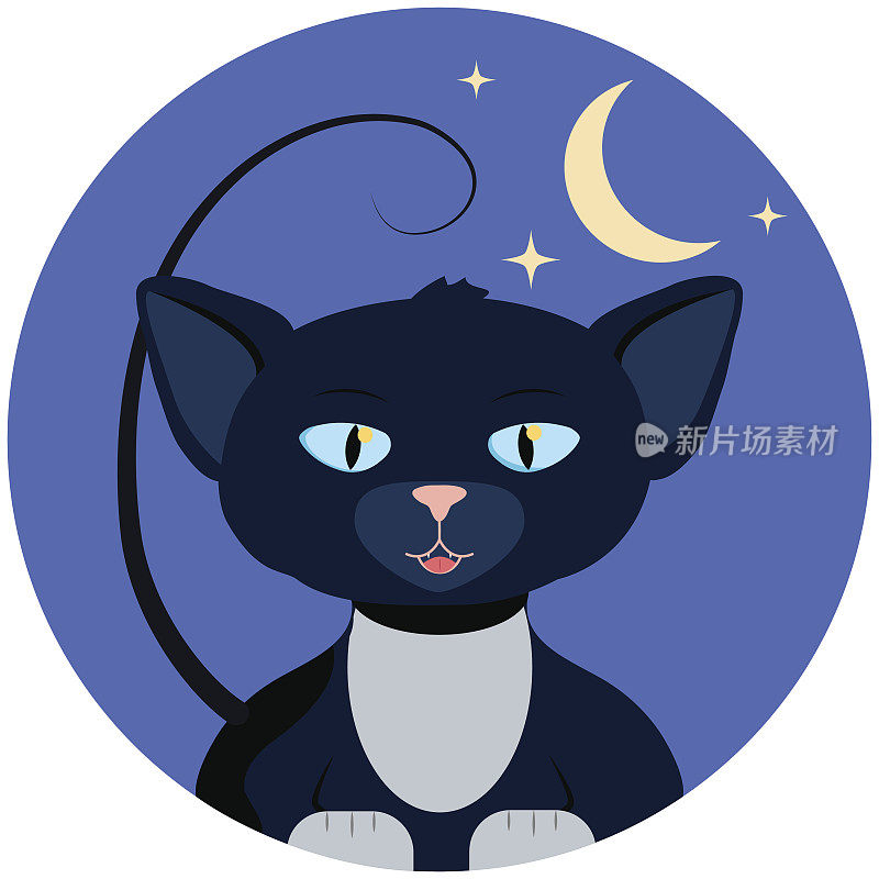 万圣节矢量插图与猫。白色爪子小猫在圆蓝色背景与月亮和星星。