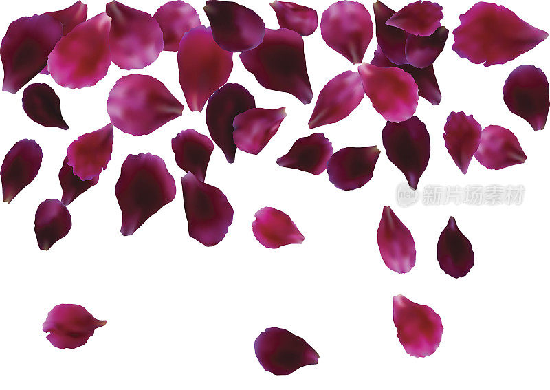 抽象背景与飞行粉红色，红色玫瑰花瓣