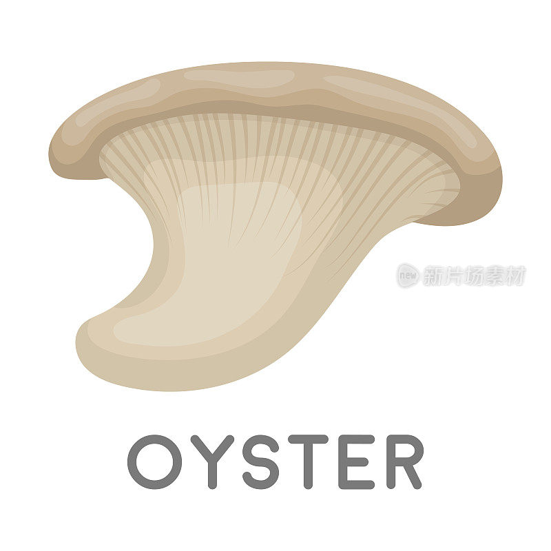 牡蛎图标在卡通风格孤立的白色背景。蘑菇符号股票矢量插图。