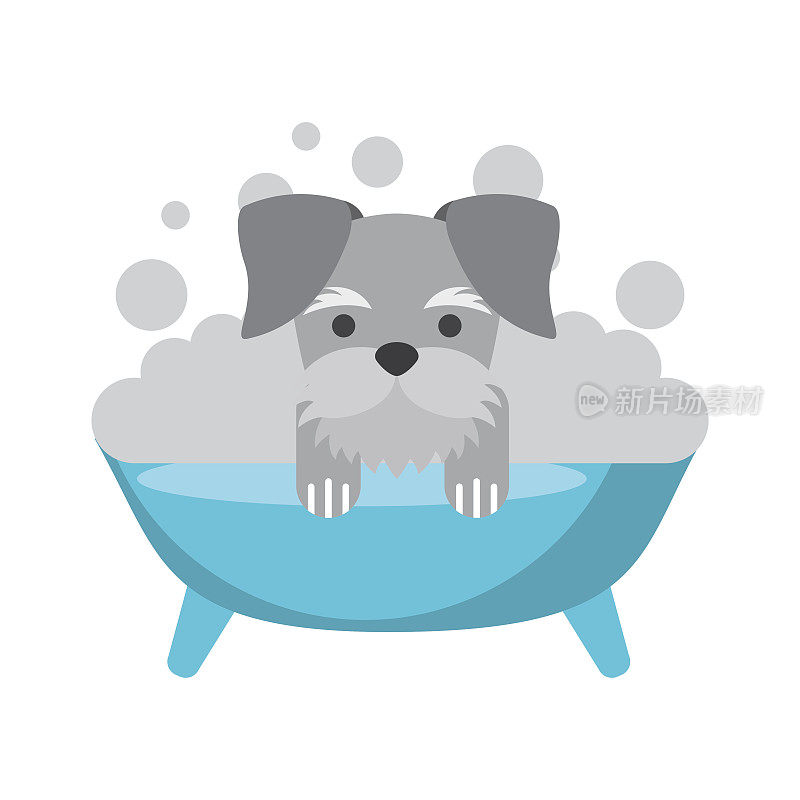 可爱的狗在浴缸洗澡